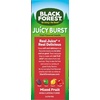 image:imageBlack Forest Juicy Burst Fruit Flavored Snacks Mixed Fruit Flavors 08 oz 70 countMixed Fruit