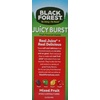 image:imageBlack Forest Juicy Burst Fruit Flavored Snacks Mixed Fruit Flavors 08 oz 70 countMixed Fruit