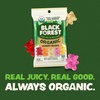 image:imageBlack Forest Organic Gummy Bears Candy 45 Ounce Bags Pack of 12