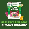 image:imageBlack Forest USDA Organic Gummy Bears  65 Pouches  08Oz Each08 Ounce 65 Count