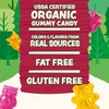 image:imageBlack Forest USDA Organic Gummy Bears  65 Pouches  08Oz Each11 LB
