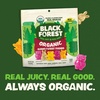 image:imageBlack Forest USDA Organic Gummy Bears  65 Pouches  08Oz Each11 LB Pack of 2