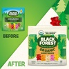 image:imageBlack Forest USDA Organic Gummy Bears  65 Pouches  08Oz Each18 Oz Pack of 1