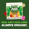 image:imageBlack Forest USDA Organic Gummy Bears  65 Pouches  08Oz Each18 Oz Pack of 1