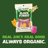 image:imageBlack Forest USDA Organic Gummy Bears  65 Pouches  08Oz Each2032 cm x 1397 cm x 2921 cm