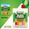 image:imageBlack Forest USDA Organic Gummy Bears  65 Pouches  08Oz Each6 Count
