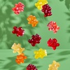image:imageBlack Forest USDA Organic Gummy Bears  65 Pouches  08Oz Each6 Count