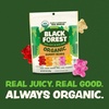image:imageBlack Forest USDA Organic Gummy Bears  65 Pouches  08Oz Each6 Count