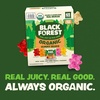 image:imageBlack Forest USDA Organic Gummy Bears  65 Pouches  08Oz Each65 Count