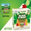 image:imageBlack Forest USDA Organic Gummy Bears  65 Pouches  08Oz Each65 Count