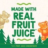image:imageBlack Forest USDA Organic Gummy Bears  65 Pouches  08Oz Each65 Count Pack of 2