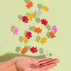image:imageBlack Forest USDA Organic Gummy Bears  65 Pouches  08Oz Each65 Count Pack of 2