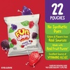 image:imageFunables Fruit Snacks Mixed Berry Snacks 25 Ounce Pouches Pack of 48Mixed Fruit