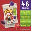 image:imageFunables Fruit Snacks Mixed Berry Snacks 25 Ounce Pouches Pack of 48Mixed Fruit