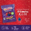image:imageFunables Fruit Snacks Mixed Berry Snacks 25 Ounce Pouches Pack of 48Mixed Fruit