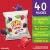 image:imageFunables Fruity Snacks Mixed Berry Flavored Snacks 32 oz 40 ct40 Count Pack of 4