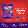 image:imageFunables Fruity Snacks Mixed Berry Flavored Snacks 32 oz 40 ct80 Count