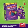 image:imageFunables Fruity Snacks Mixed Berry Flavored Snacks 32 oz 40 ct80 Count