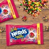 image:imageNERDS Gummy Clusters Candy Very Berry Crunchy and Gummy 185 ozRainbow