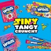 image:imageNerds Rope Candy Tropical Flavor 092 Ounce Ropes Pack of 24Very Berry