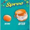 image:imageSpree Freeze Dried Candy Sweet amp Tangy Resealable Bag 4 oz  Crunchy freezedried candy sweet tangy flavors resealable bag snacking ontrend treat sharing nostalgic